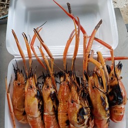 โจ้กุ้งย่างปลาเผา