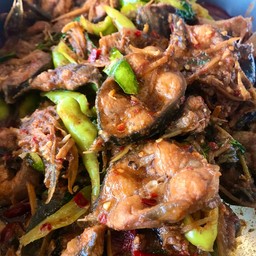 ผัดเผ็ดปลาดุก ใส่กระชาย