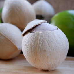 มะพร้าวเผา