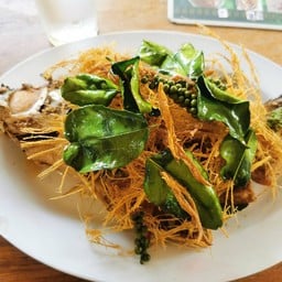 เงาไม้