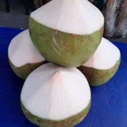 มะพร้าวน้ำหอมขั้นเทพ (ริมปิงข้างสวนน้ำสิริจิตร)
