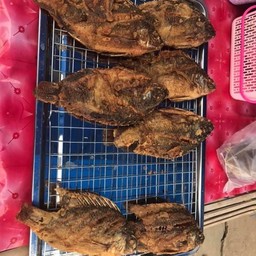 ปลาทอด40
