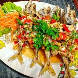 ปลาทูลุยสวน