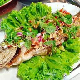 ปลากระพงลุยสวน