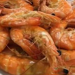 กุ้งขาว