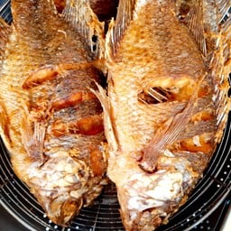 ปลานิลทอด