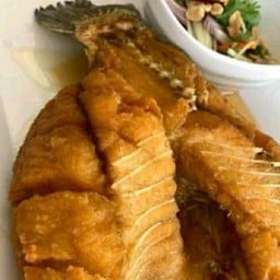 ปลากะพงทอดราด