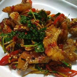 มัจฉาปลาเก๋าเกล็ดผัดฉ่า