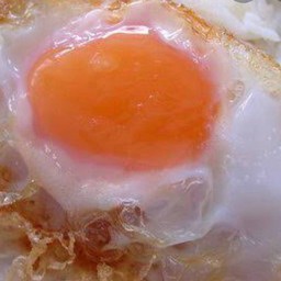 ไข่ดาว