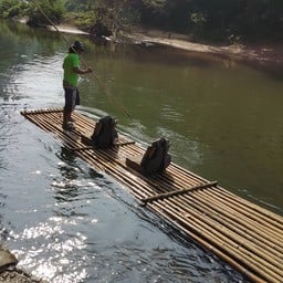 วังมัจฉา