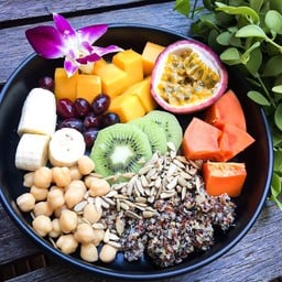 Vlodge vegetarian &vegan
