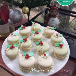 Christmas theme macaron