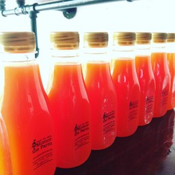 น้ำฟักข้าว