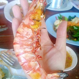 กุ้งเผาสดมาก เนื้อกรอบสุด