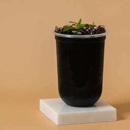 น้ำ โอเลี้ยง