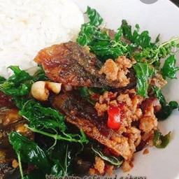 กะเพราหมูสับไข่เยี่ยวม้า