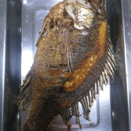 ปลานิลทอด