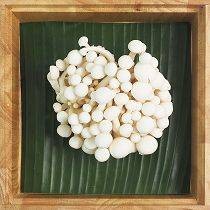 เห็ดชิเมจิขาว