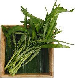 ผักบุ้ง