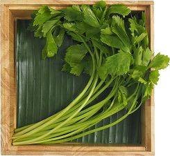 ขึ้นฉ่าย