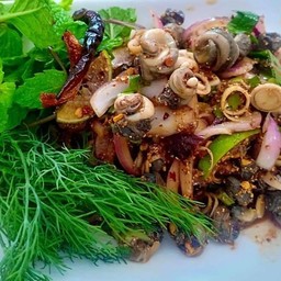 ก้อยหอยเชอรี่