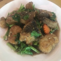 ปลากะพงกับ กึ่งไช้