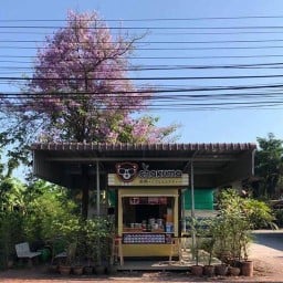 ชาคุมะ สาขาบ้านปรก