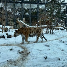 Maruyama Zoo