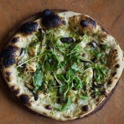 Magic Mushroom (12inch)