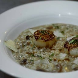 Scallop with truffle risotto