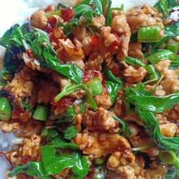 กระเพราไก่สับ (เป็นกับ)