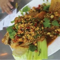 ปลาโบราณ