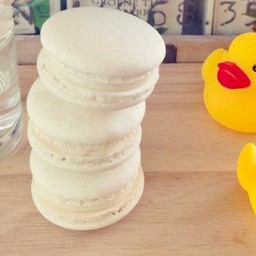 มาการองวานิลลา