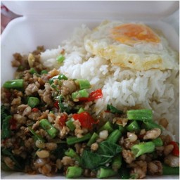 ข้าวราด กระเพราหมูสับ (ไม่รวมไข่ดาว)