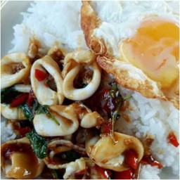 ข้าวราด กระเพราปลาหมึก (ไม่รวมไข่ดาว)