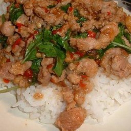 กระเพราหมูราดข้าว
