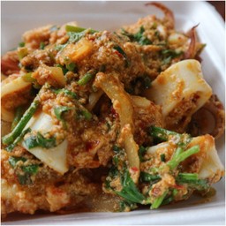 ข้าวราด ผัดผงกะหรี่ ปลทหมึก