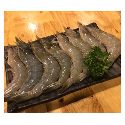 กุ้งขาว