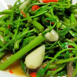 ผัดกระเฉดอ๊อนอ่อน