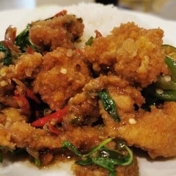 ข้าวกะเพราไก่ทอด หรือ หมูทอด