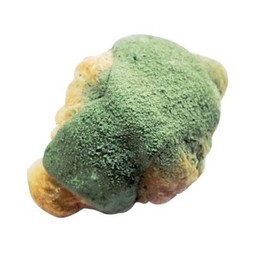 Custard Please ครัวซองค์สังขยาลาวา