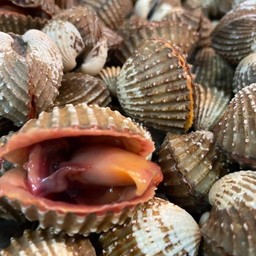 หอยแครงลวกหรือเผา