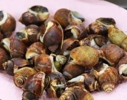 หอยหวานเผา