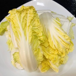 ผักกาดขาว