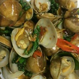 หอยตลับผัด