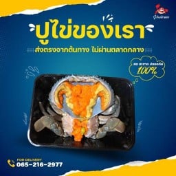 ดองดอง Dong dong by ปูดองแม่กลอง