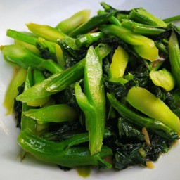 ผัดคะน้าน้ำมันหอย