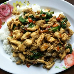 กระเพราไก่
