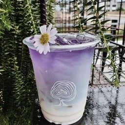 วนิลาสกาย