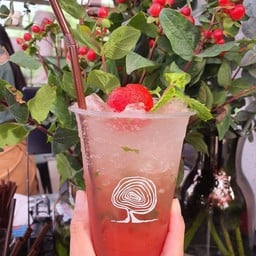 ไบรท์แอนด์บรีท